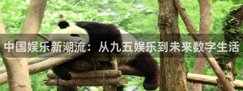 中国娱乐新潮流：从九五娱乐到未来数字生活